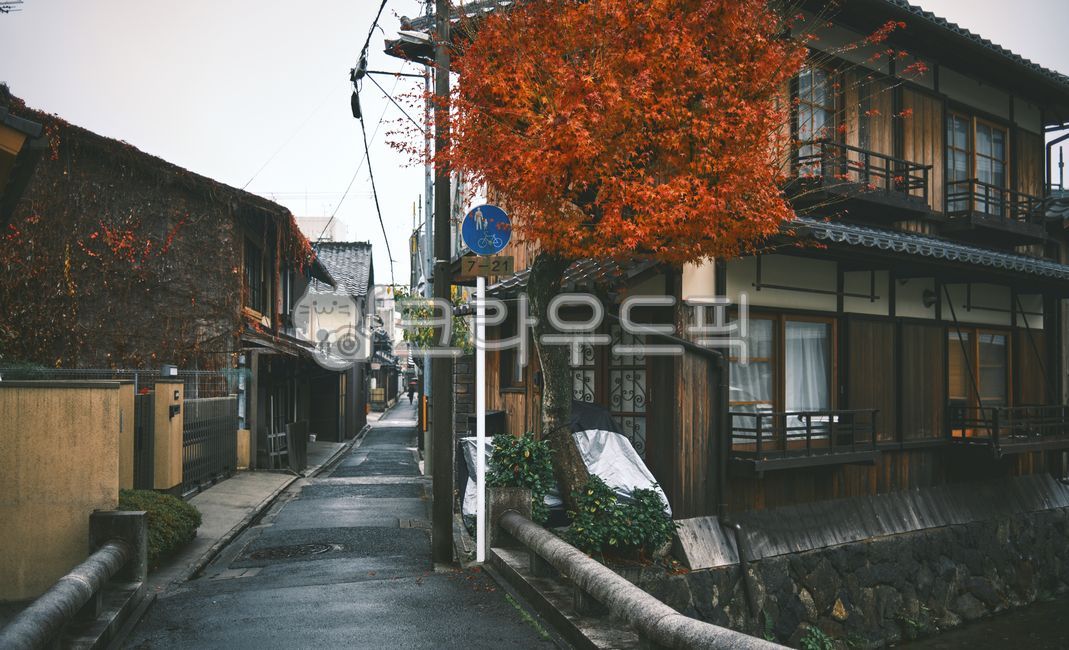 Japan,Kyoto,Kyoto autumn leaves,Kyoto fall,emotional photo,background,alley,quiet,Osaka,atmosphere,emotional,street