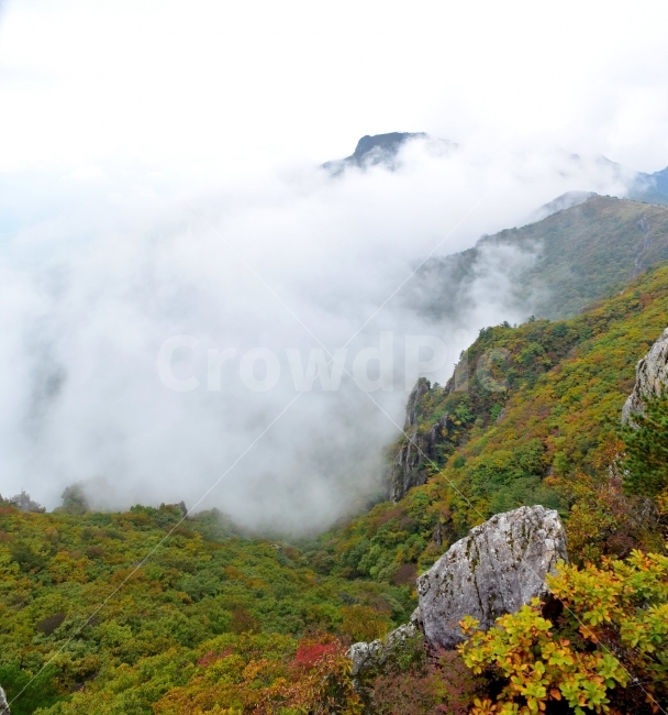 영축산,신불산,영남알프스가을,단풍,풍경,낙엽,명산,자연,비경,단풍나무,가을색,가을색채,오색단풍,가을단풍,운해,장관,구름,억새,영알,억새평전,mountain,landscape,가을,계절,fall,autumn,season,자연,풍경,nature,landscape,한국자연풍경,한국자연경관,korea nature landscape,outdoors,옥외,산,mountain range,산맥