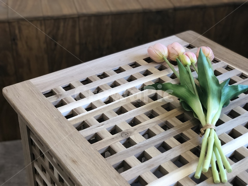 plant,식물,튤립,cafe,tulip,mood,카페