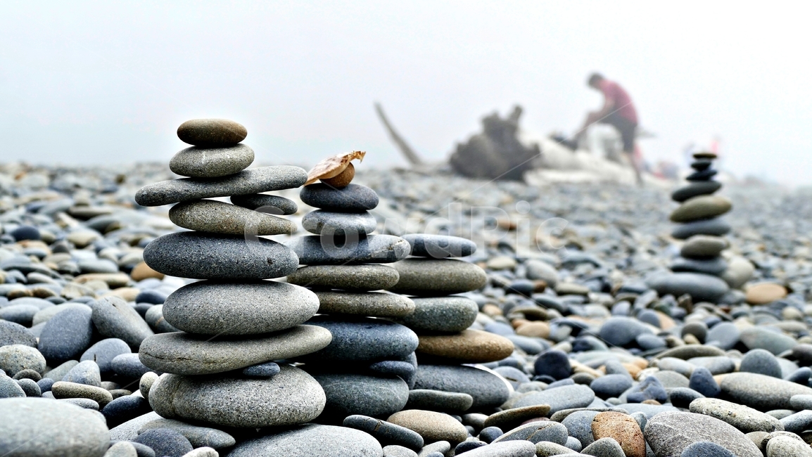 바닷가,해변,seashore,pacificnorthwest,pebble