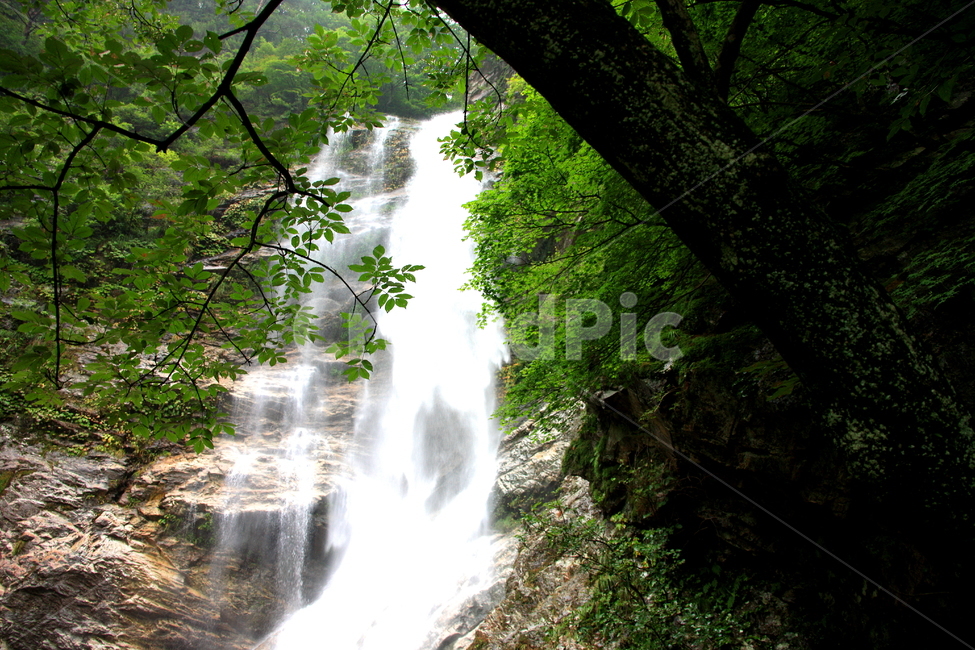 물,폭포,호수,풍경,나무,자연,풍경,nature,landscape,river,강,water,outdoors,옥외,waterfall