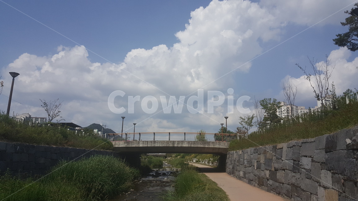 구름,하늘,태양,빛,파란하늘,뭉게구름,여름하늘