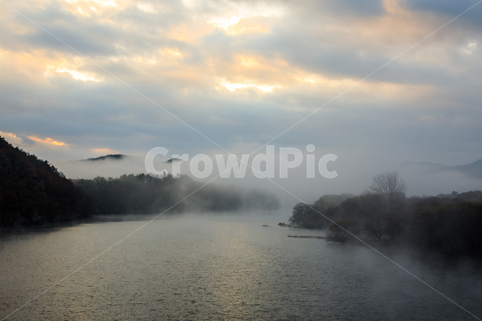 물안개,합천물안개,황강물안개,안개,풍경,황강,강,landscape,자연,풍경,nature,landscape,식물,plants,나무,trees,wood,weather,날씨,outdoors,옥외