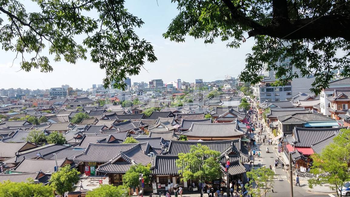 전주,기와,전망,기와집,한옥,전통,경치