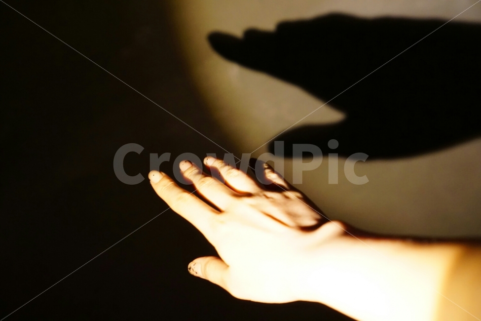 사람,손,사람손,손등,그림자,손그림자,연극,사람,인물,인간,human,person,신체일부,몸,body,손,제스처,표시,손짓,표현,gesture,hand,sign,expression,연출,컨셉,콘셉,direction,concept