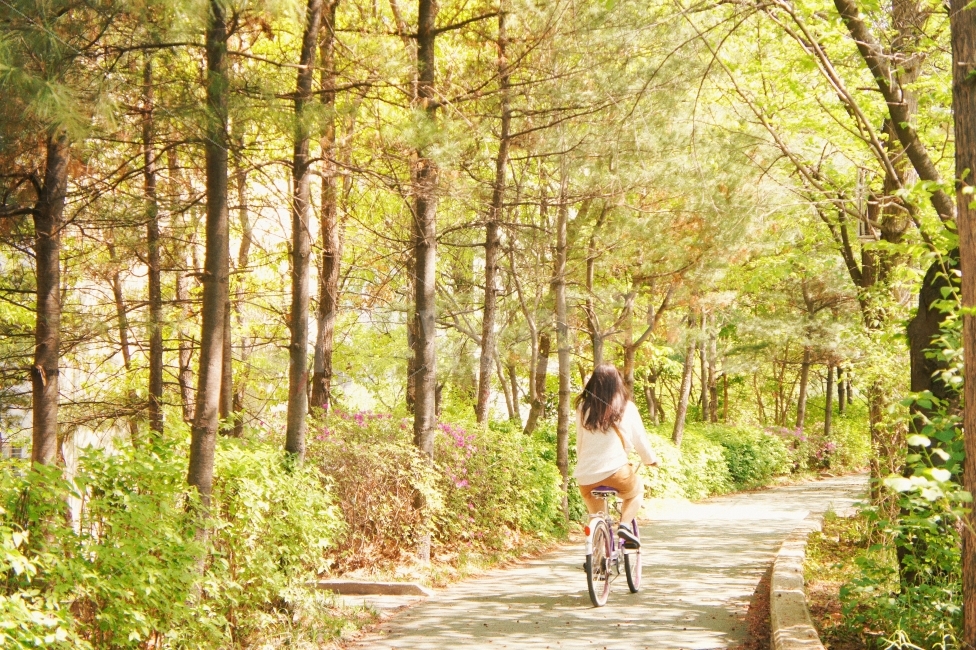 사람,봄,인물,자연,꽃,감성,감성사진,햇살,햇빛,한강,소풍,자전거,bike,spring,sunshine,nature,flower,film,picnic,봄,계절,spring,season,자연,풍경,nature,landscape,사람,인물,인간,human,person,여성,여자,woman,female,lady,스포츠,레저,운동,sports,leisure,exercise,건강,헬스웨어,헬스케어,healthware,health care,감성,sensible,feeling,휴식,힐링,rest,relaxation,healing,path,통로,transportation,교통,vehicle,차량,bicycle,plant,식물,vegetation,초목,woodland,삼림지,forest,숲,tree,나무,land,땅,outdoors,옥외