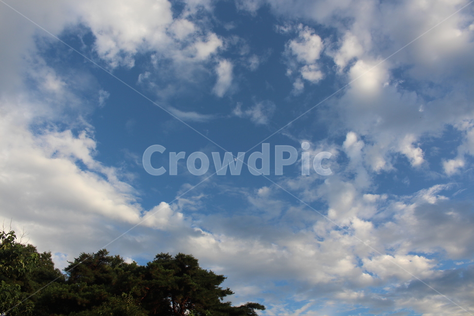 nature,자연,outdoors,옥외,sky,하늘,cloud,구름,weather,날씨,cumulus,적운,azuresky,푸른하늘,배경,자연,풍경,nature,landscape