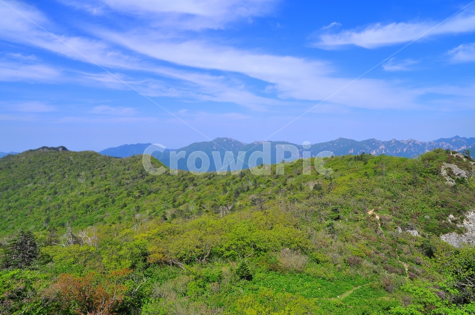 설악산,국립공원,시즌,계절,봄이미지,수해,신록,숲,골짜기,능선,봉우리,산맥,구름,하늘,맑은,청명,화창한,등산,산위에서,정상,내려다보다,힐링,원경,자연,풍경,강원도,mountain,season,spring,sky,green,forest,자연,풍경,nature,landscape,한국자연풍경,한국자연경관,korea nature landscape,outdoors,옥외,hill,언덕