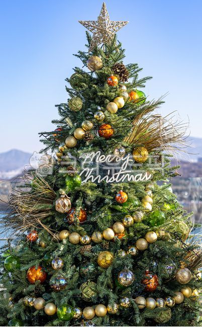 트리,크리스마스,크리스마스트리,메리크리스마스,tree,merrychristmas