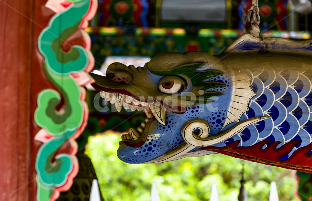 목어,어고,어판,문양,단청,염원,기원,불교,사찰,종각,한국전통,한국문화,korean traditional,korean culture
