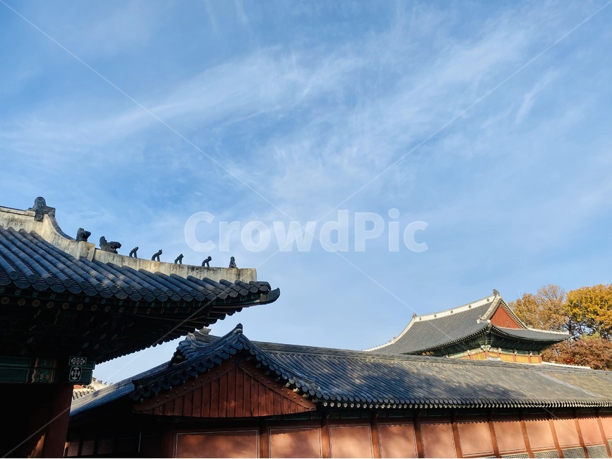 하늘,구름,한옥,창덕궁,궁궐,한국전통,한국문화,korean traditional,korean culture