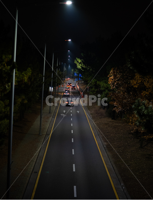 도로,야경,자동차,고요함,가로등,1차선