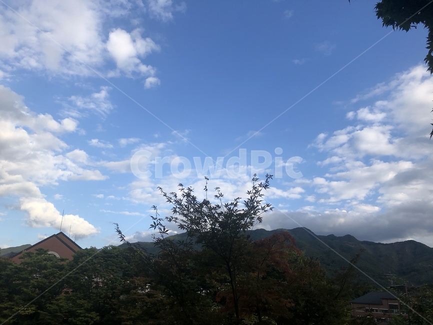 하늘,구름,맑음,행복,평화,하늘청렴,자연,풍경,nature,landscape,weather,날씨,outdoors,옥외,cumulus,적운,cloud,sky