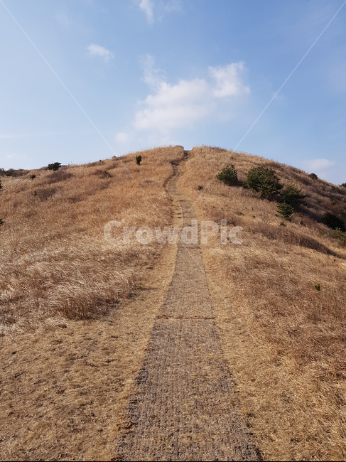 따라비오름,오름,제주도오름,갈대밭길,따라비,갈대,하늘,파란하늘,맑은하늘,산길,산정상,정상