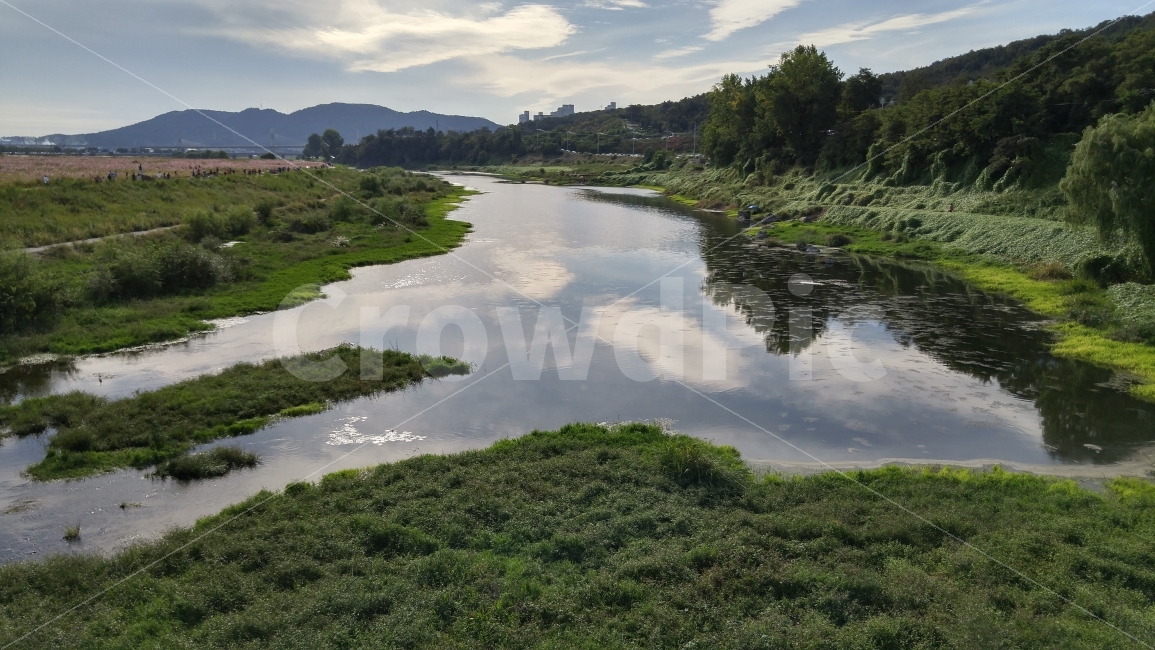 자연,대구,하중도,풍경,하늘,강,하천,배경화면,자연,풍경,nature,landscape,water,물,outdoors,옥외,land,땅,ditch,도랑