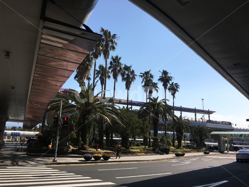 제주공항,제주국제공항,제주도,제주,공항