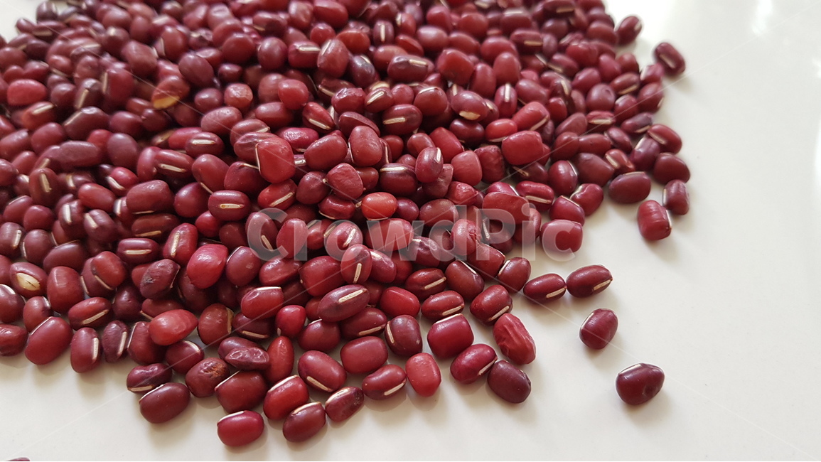 곡물,곡식,팥,redbean,잡곡,음식,식재료,요리,food,cook,meal,dishes,food reserves,콩류,견과류,beans,pulse,nuts,dry fruits