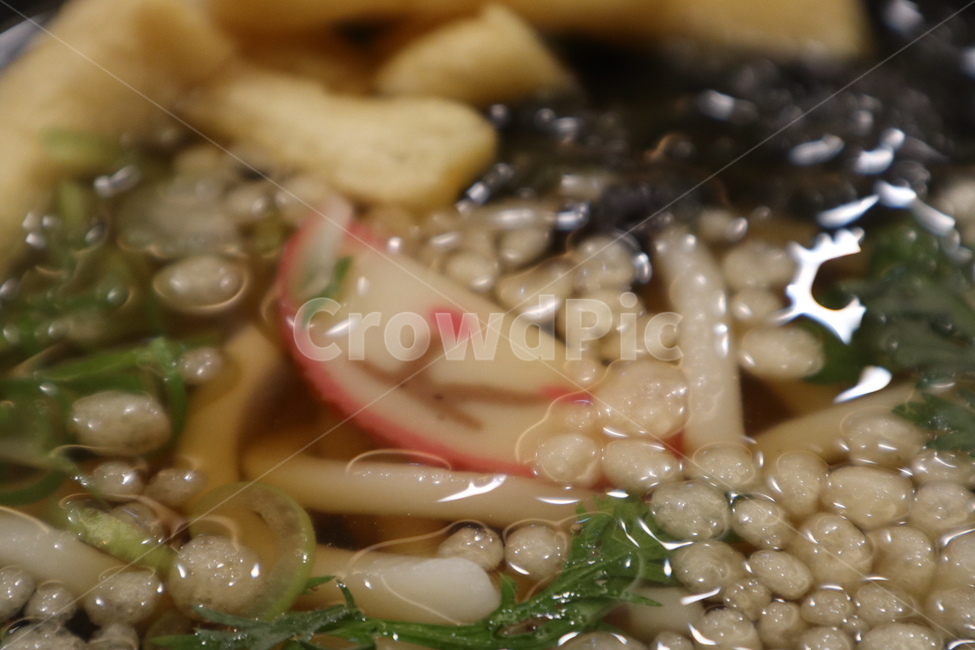 우동,음식,면,국물,일식,식당