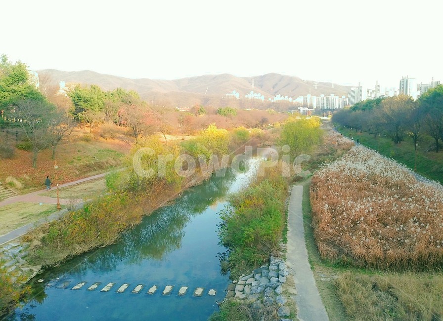 liver,하천,풍경,자연,nature,outdoors,옥외