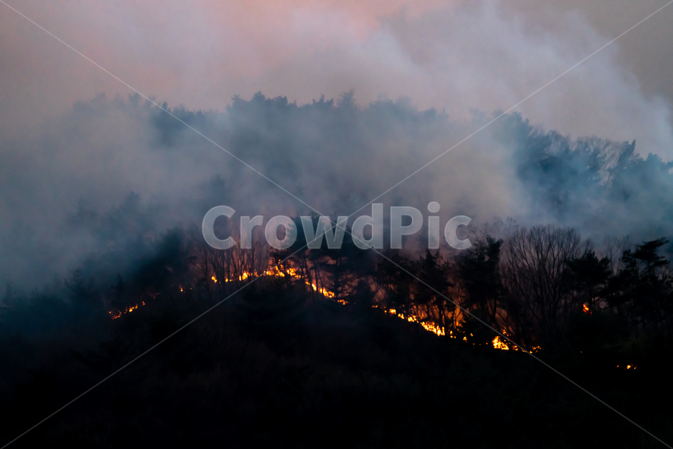 fire,forestfire,catastrophe,disaster,accident,destruction,damage,evacuation,victims,safety,emergency,devastated,fireresidue,firecontrol,산불,불,재난,재해,사고,파괴,피해,대피,이재민,안전,비상상태,황폐화,잔불,소화