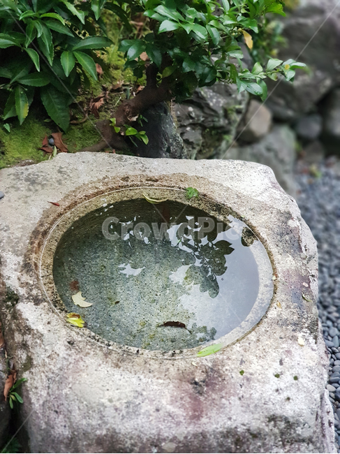 풍경,자연,물,비온뒤,찰랑찰랑,water