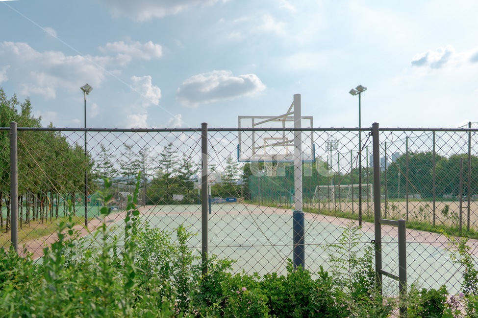 농구장,공원,한강공원,공원농구장,여름,스포츠,레저,운동,sports,leisure,exercise
