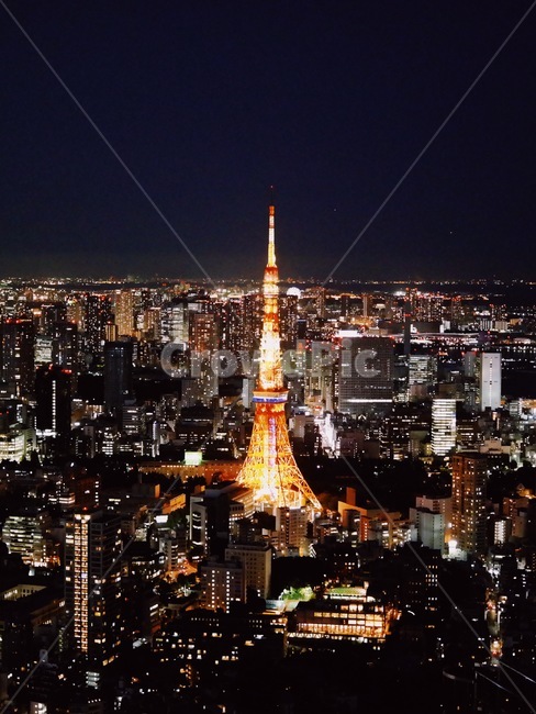 outdoors,옥외,nature,자연,경치,landscape,풍경,scenery,architecture,건축물,steeple,탑,tower,첨탑,spire,뾰족한탑,building,건물,tokyo,tokyotower,도쿄,일본,랜드마크