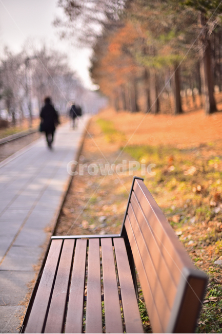 가을길,풍경,끝없는,길,로드,보도블럭,겨울풍경,야외,옥외,아웃도어,배경,바탕,백그라운드,landscape,outdoor,인간,human,사람,person,빈의자,의자,벤치,나무의자,뒷모습,실루엣,늦가을,산책로