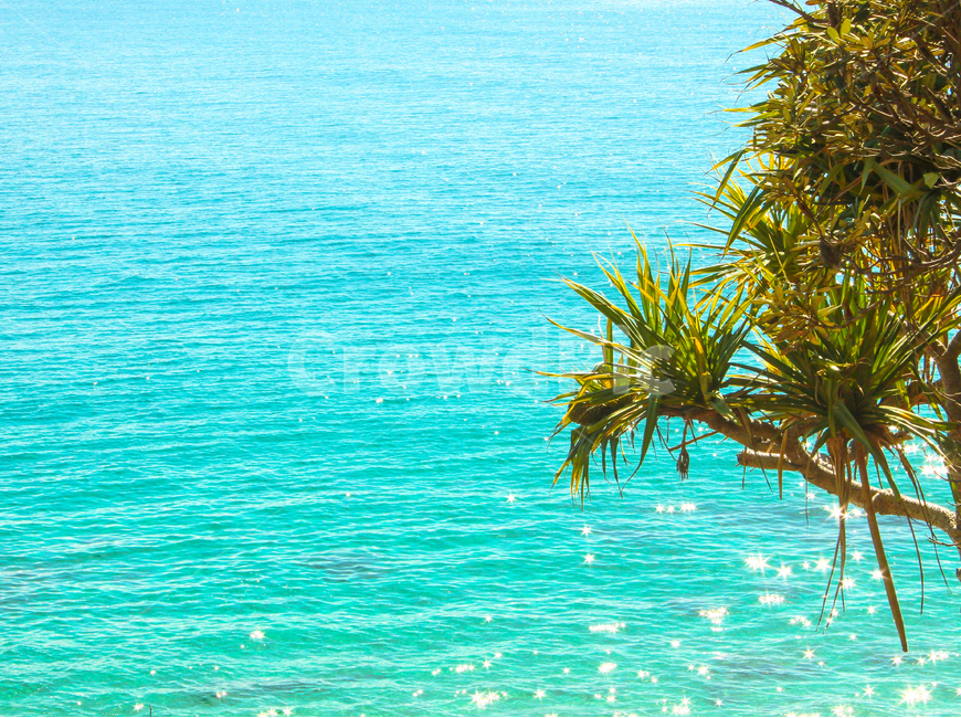 바다,자연,호주,감성,sea,ocean,beach,sunshine,햇빛,australia,golden,light,nature,자연,풍경,nature,landscape,여름,계절,summer,season
