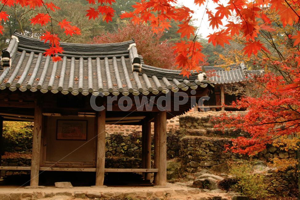 한국,담양,정자,소쇄원,가을,단풍,건축,기와집,가을,계절,fall,autumn,season,한국자연풍경,한국자연경관,korea nature landscape