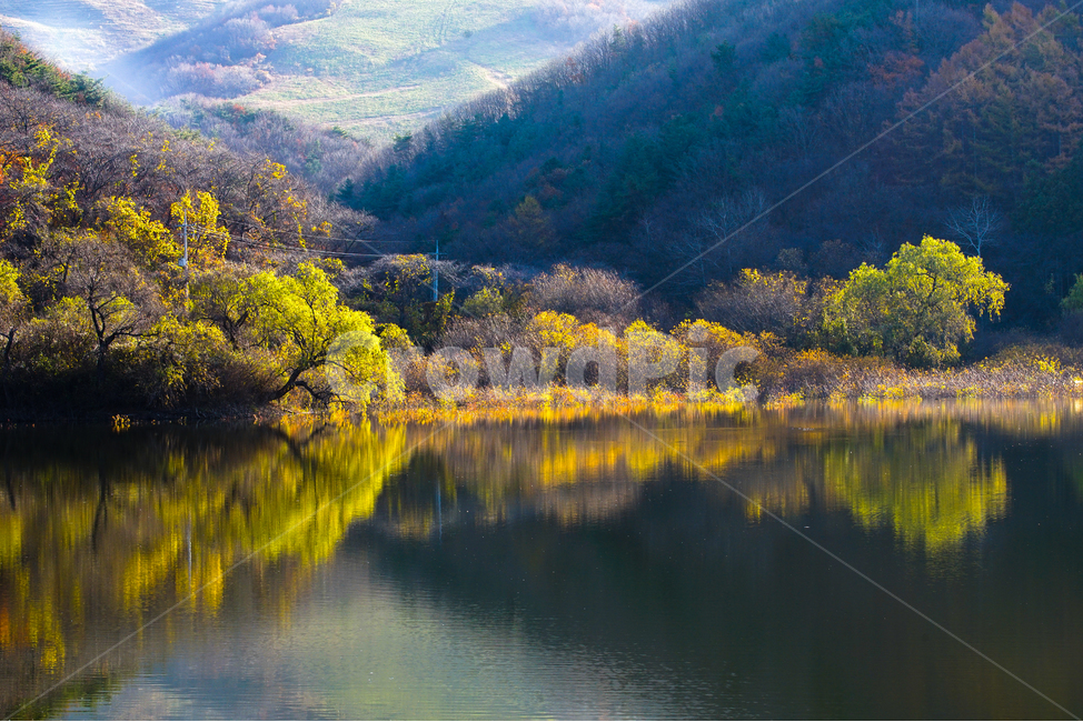 호수,가을,반영,투영,풍경,계절,단풍,나무,숲,가을,계절,fall,autumn,season,자연,풍경,nature,landscape,water,물,outdoors,옥외,lake