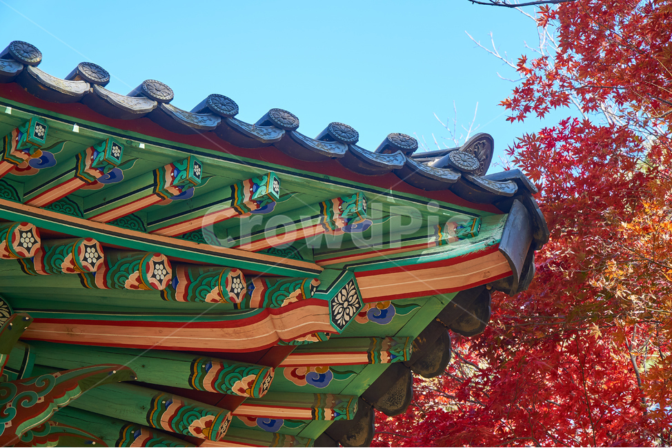 한국전통,한국문화,단청,기와,한옥,가을,temple,architecture,건축물,building,건물,worship,신전,koreaculture