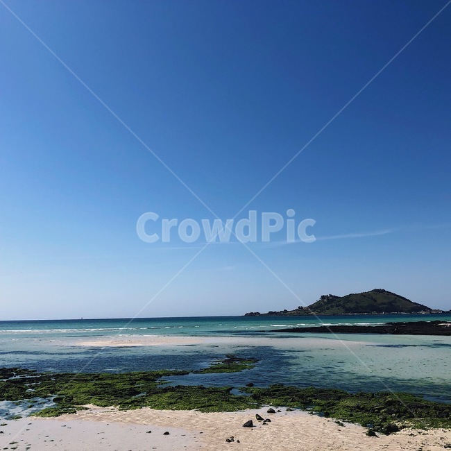 바다,자연,해안선,제주도,water