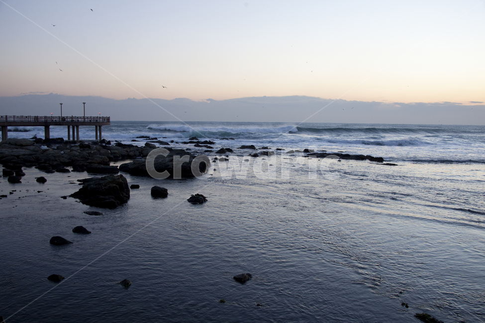 일출,갈매기,자연,nature,ocean,대양,sea,바다,water,bird,물,outdoors,flare,플레어,빛,sunlight,햇빛,다리,pier,교각,포트,port,자연,풍경,nature,landscape