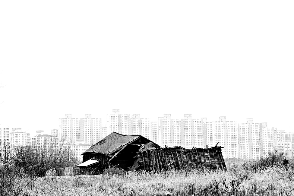 소금창고,갈대,자연,풍경,나무집,도시,풍경,city,landscape,한국도시풍경,한국도시경관,korea cityscape,흑백,모노톤,monochrome,black and white,건축물,건물외관,exterior,building,structure,architecture,construction,nature,outdoors,옥외,건물