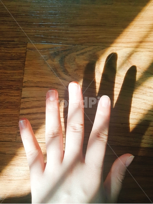 손,그림자,바닥,햇빛,손가락