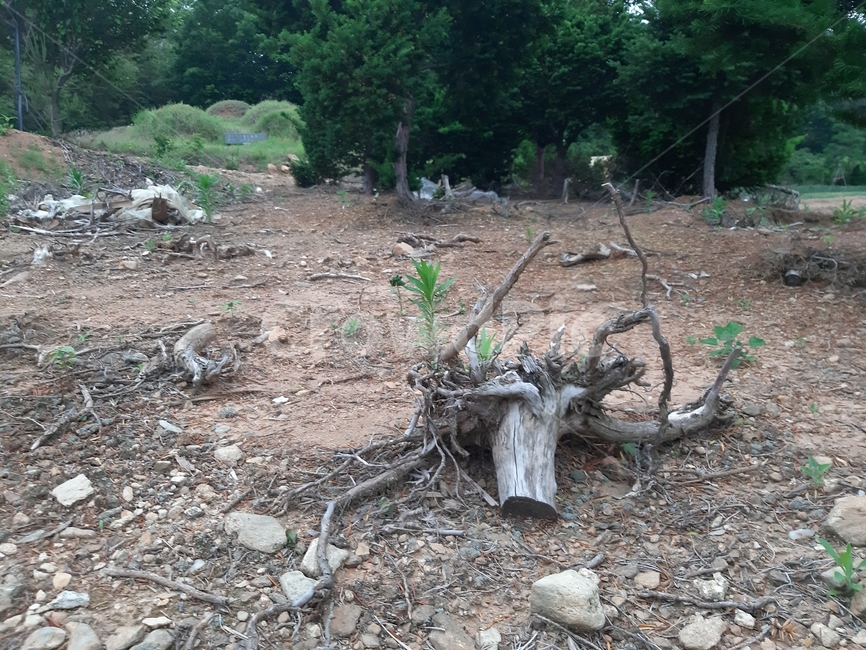 ground,바닥,wood,나무,흔적