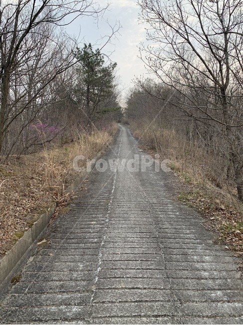 학교뒷산,산,가을산,뒷산,가을풍경,가을,계절,fall,autumn,season,자연,풍경,nature,landscape,road,도로,asphalt,아스팔트,dirt road,흙길,gravel,자갈