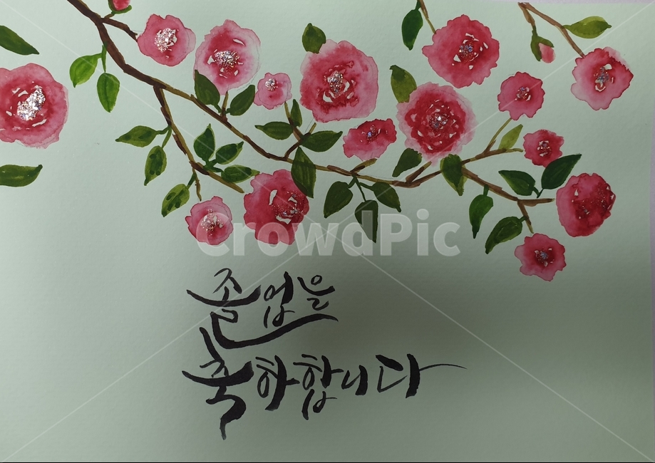 plant,식물,장미,넝쿨장미,졸업,졸업측하,졸업축하캘리그라피