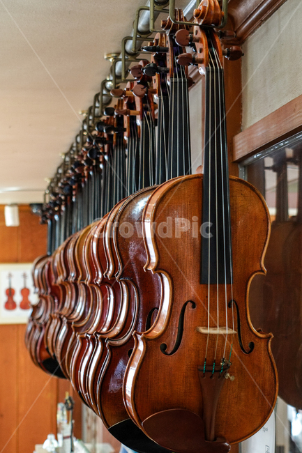 바이올린,공방,악기사,violin,바이올린제작,수제바이올린,handmade,악기,음향기기,musical instrument,musical equipment