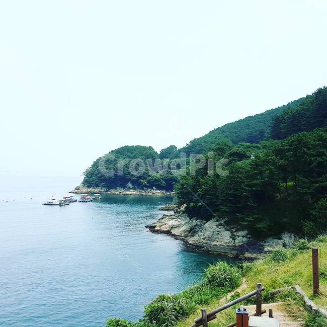 바람의언덕,거제,거제명소,섬,자연,nature,한국자연풍경