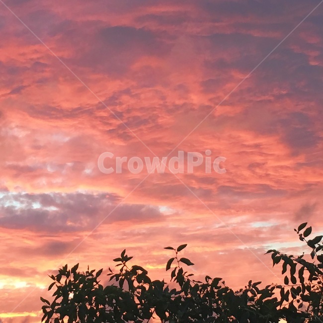 nature,자연,sky,하늘,sunset,redsky,붉은하늘,풍경,노을,자연,풍경,nature,landscape