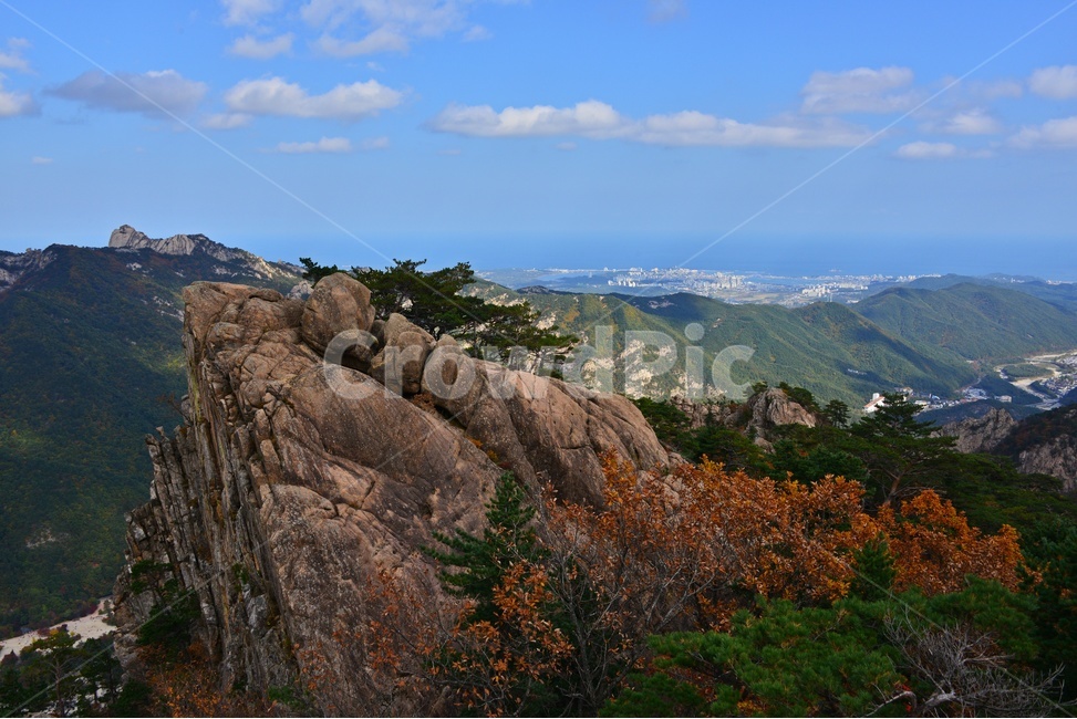 tree,나무,plant,식물,leaf,잎,nature,자연,outdoors,옥외,mountain,산,설악산,비선대,권금성,계곡,설악산가을,추색,만추,국립공원,가을,계절,fall,autumn,season,자연,풍경,nature,landscape
