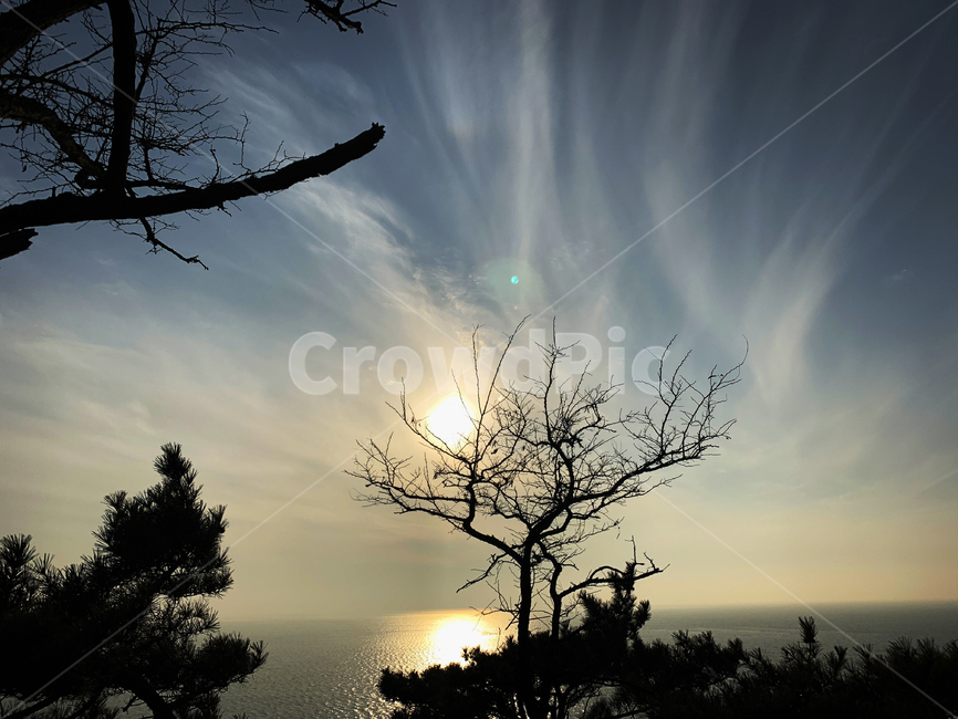 나무,하늘,바다,풍경,구름,겨울,계절,소나무,자연,자연물,wood,sea,sky,blue,green,자연,풍경,nature,landscape,light,빛,flare,플레어,sunlight,햇빛,outdoors,옥외