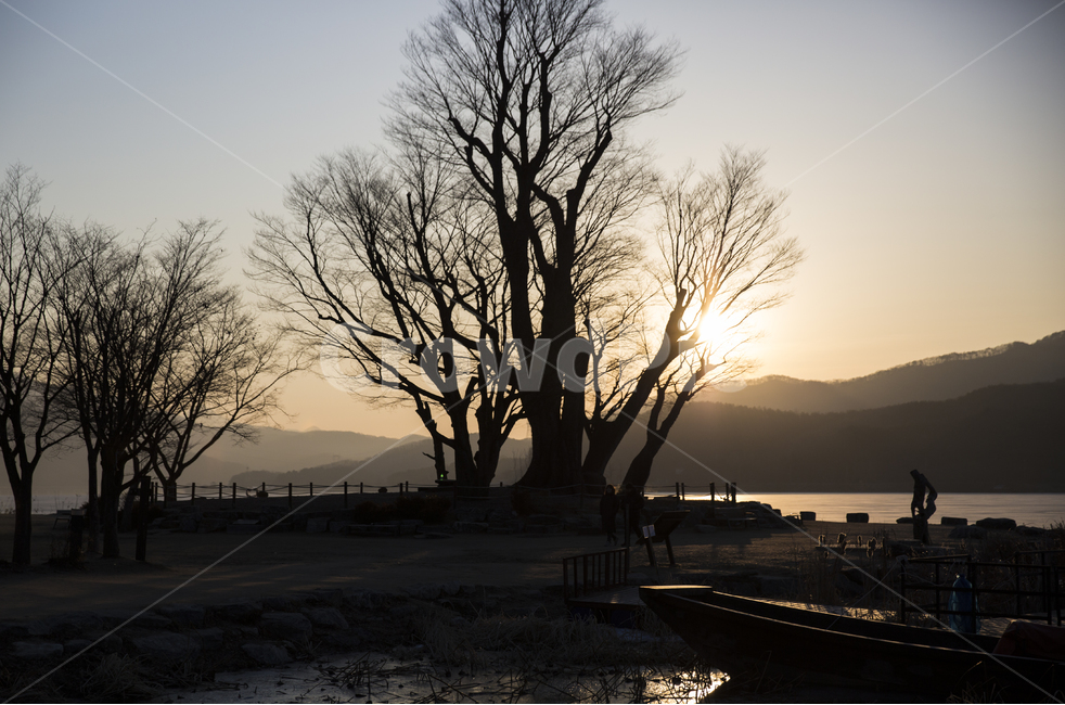 겨울,풍경,일출,햇살,아침,자연,풍경,nature,landscape,실루엣,그림자,silhouette,shadow,tree,나무,plant,식물,outdoors,옥외