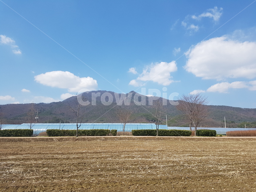 자연,풍경,산,논,하늘,자연,풍경,nature,landscape,outdoors,옥외