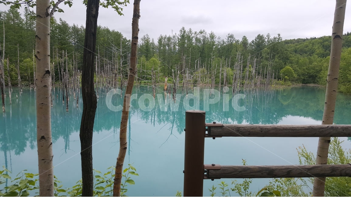 삿포르,삿뽀르,홋카이도,청의호수,일본,폭포,경관,자연,비경,자연,풍경,nature,landscape,해외,외국,세계,foreign,oversea,world,세계자연풍경,해외자연풍경,외국자연풍경,world nature landscape,water,물,land,땅,outdoors,옥외