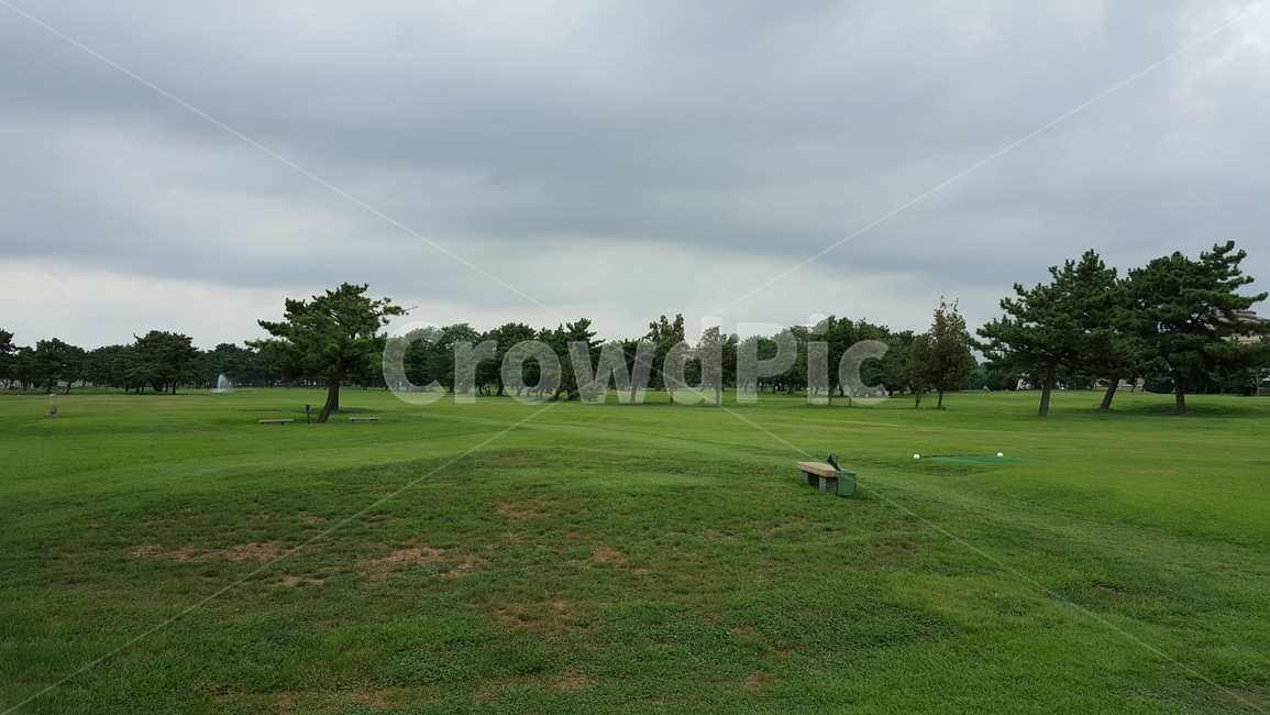잔디,골프,자연,하늘,구름,자연,풍경,nature,landscape,field,들,outdoors,옥외,golf course,골프 코스