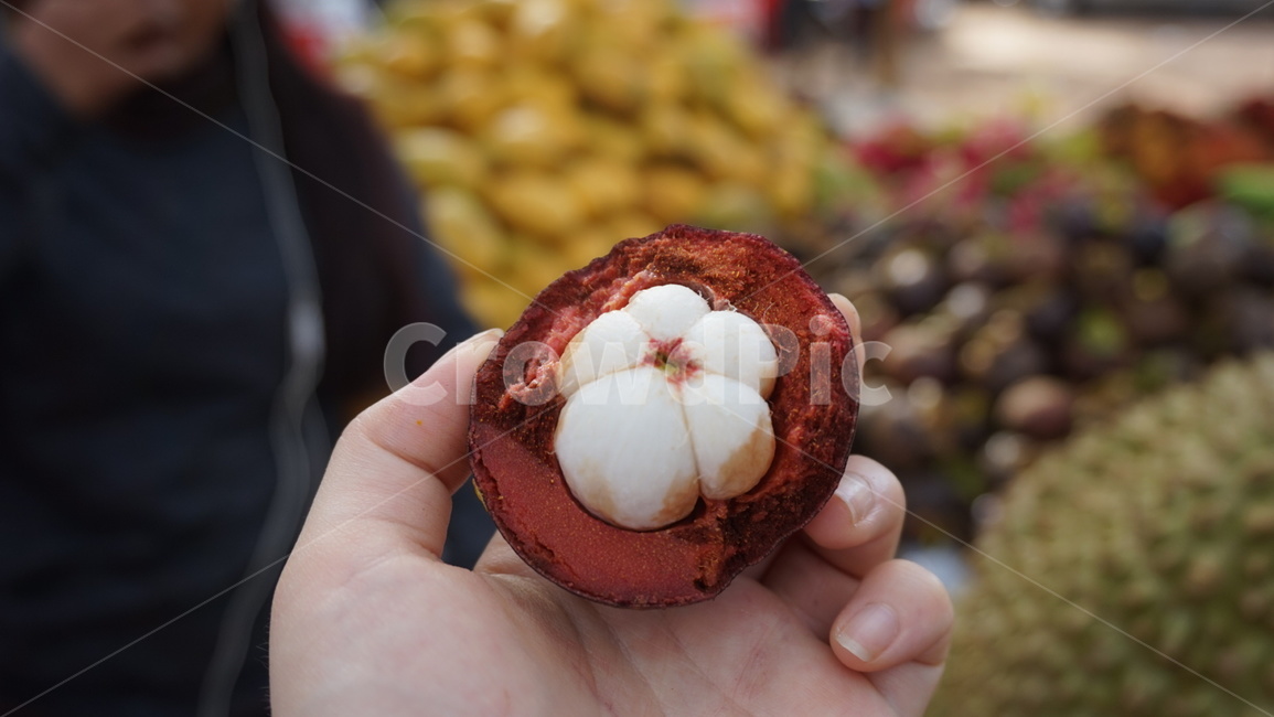 과일,망고스틴,fruit,mangosteen,동남아과일,동남아음식,식재료,식품,음식,음식,식재료,요리,food,cook,meal,dishes,food reserves,과일,열매,fruit