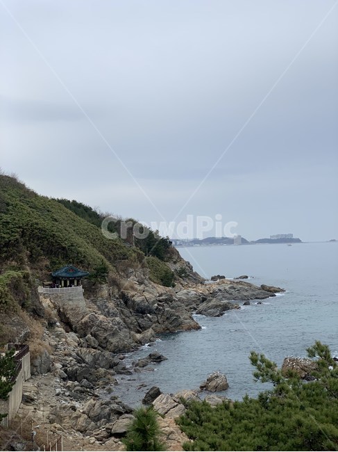 낙산사,풍경,강원도,양양,자연,산,자연,풍경,nature,landscape